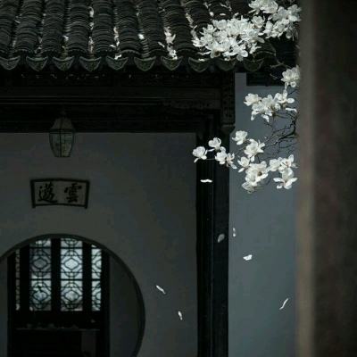 守住钱袋子，护好幸福家 | 2026年防范非法金融活动宣传月